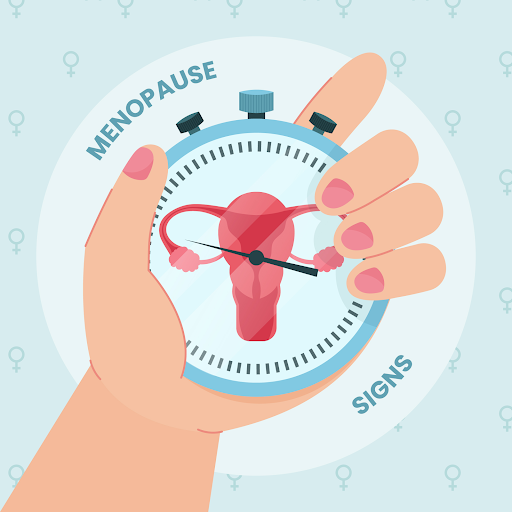 1. What happens during menopause