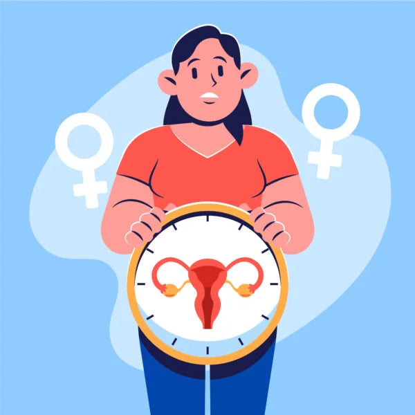 2. Perimenopause vs Menopause